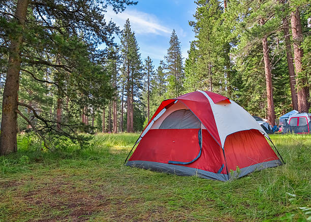 YOU CAN BRING YOUR TENT